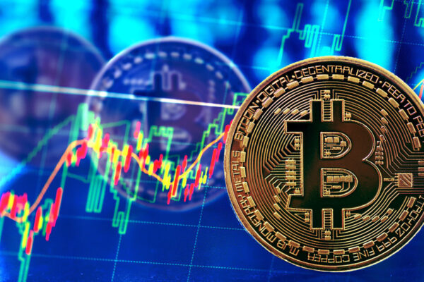Bitcoin Halving Price Debate